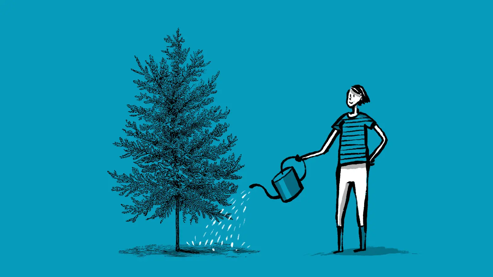 Person watering growing tree with watering can